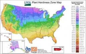 new-plant-hardiness-zone-map