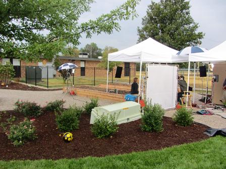 learning-garden-10-how-does-your-schools-garden-grow
