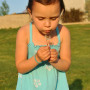 natalie dandelion small